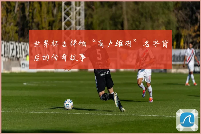 世界杯吉祥物“高卢雄鸡”名字背后的传奇故事