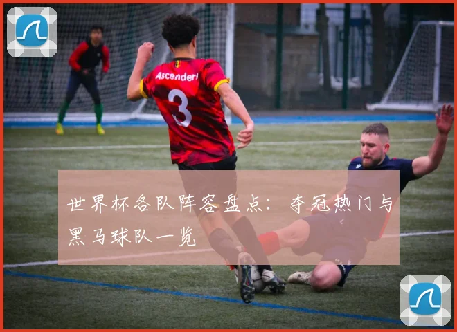 世界杯各队阵容盘点:夺冠热门与黑马球队一览