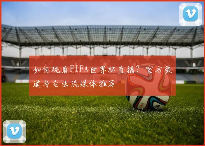 如何观看FIFA世界杯直播？官方渠道与合法流媒体推荐