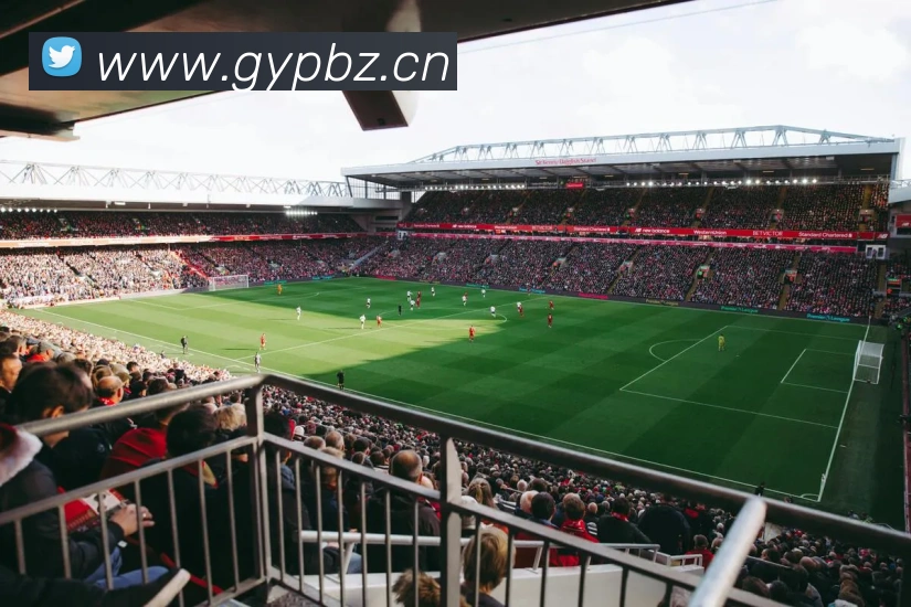 多媒体互动体验